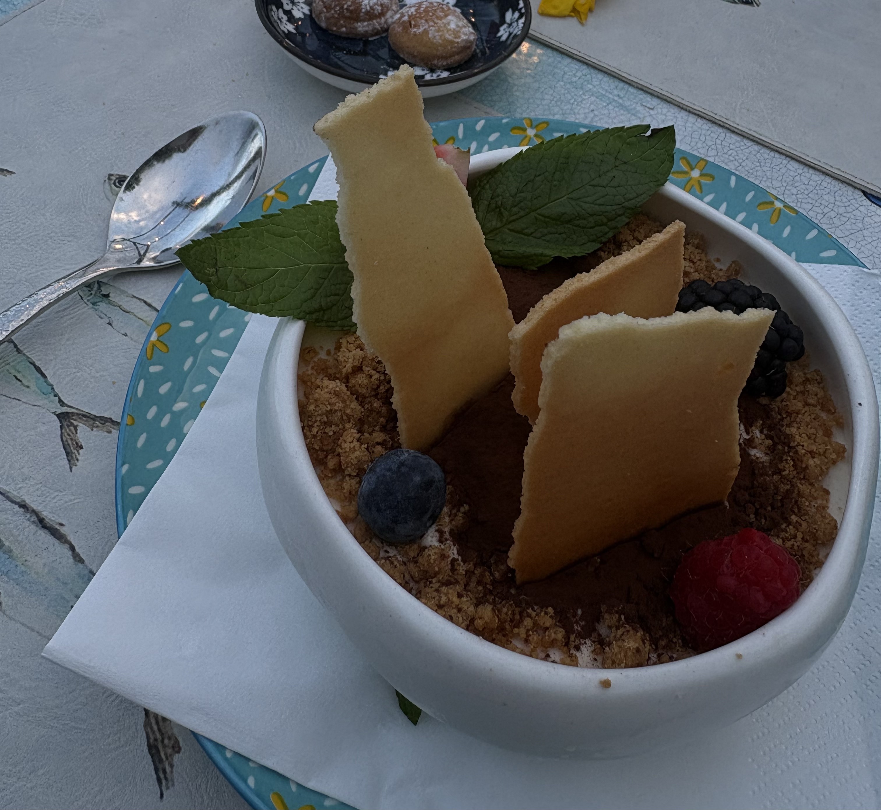 Final tiramisu of the trip :(