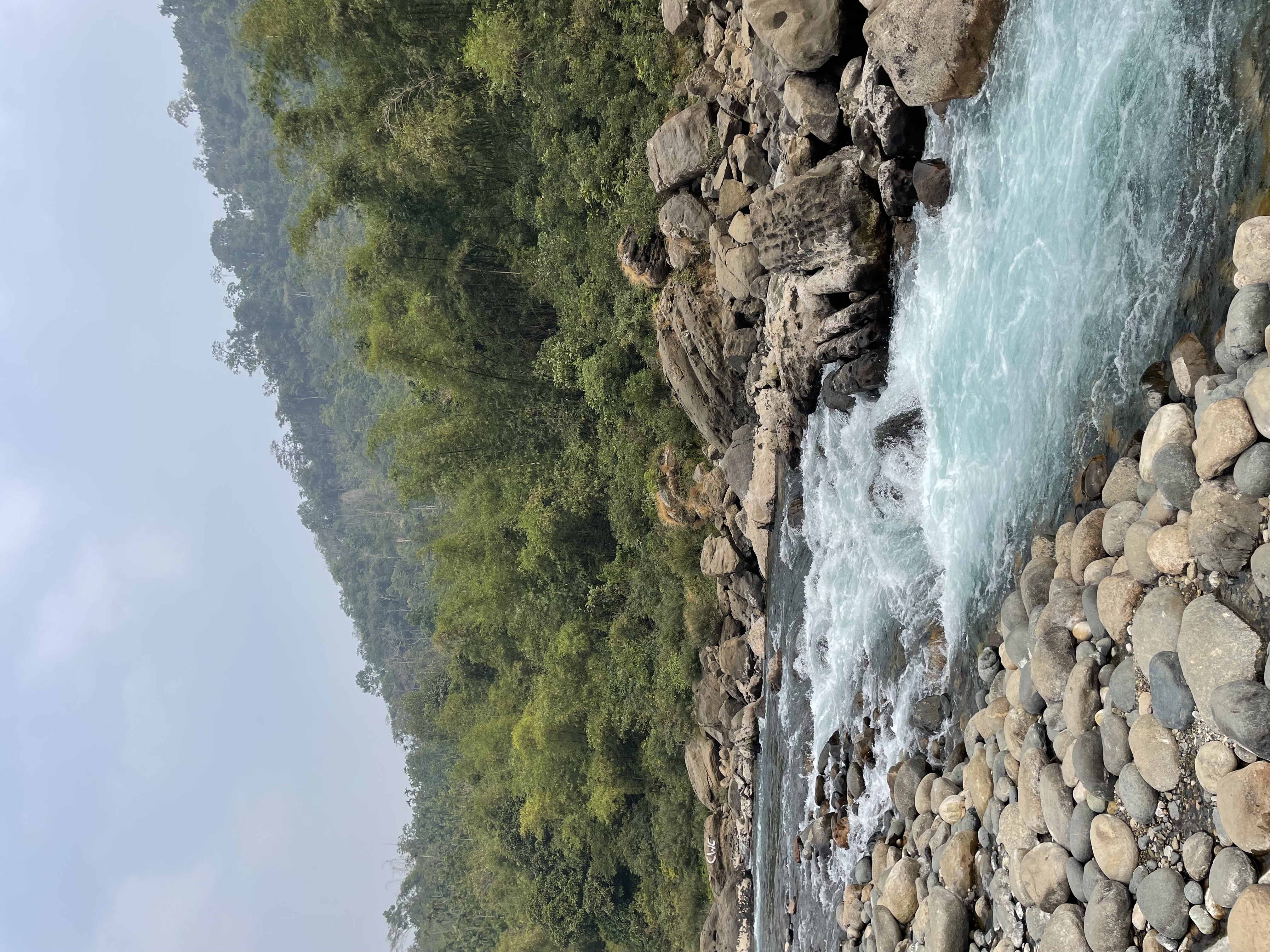 Stream at the end of the Dawki boat tour