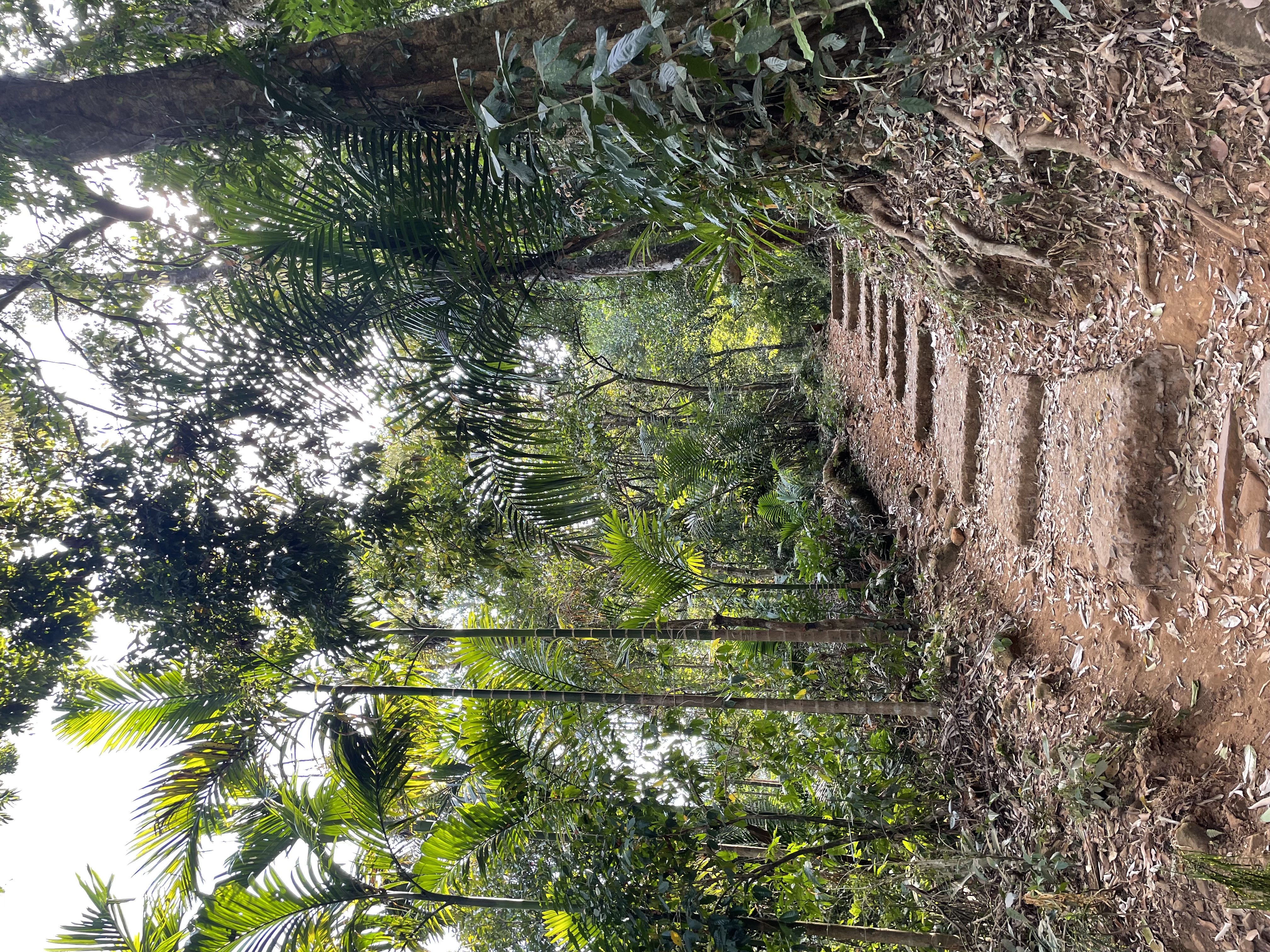 Double decker bridges trek