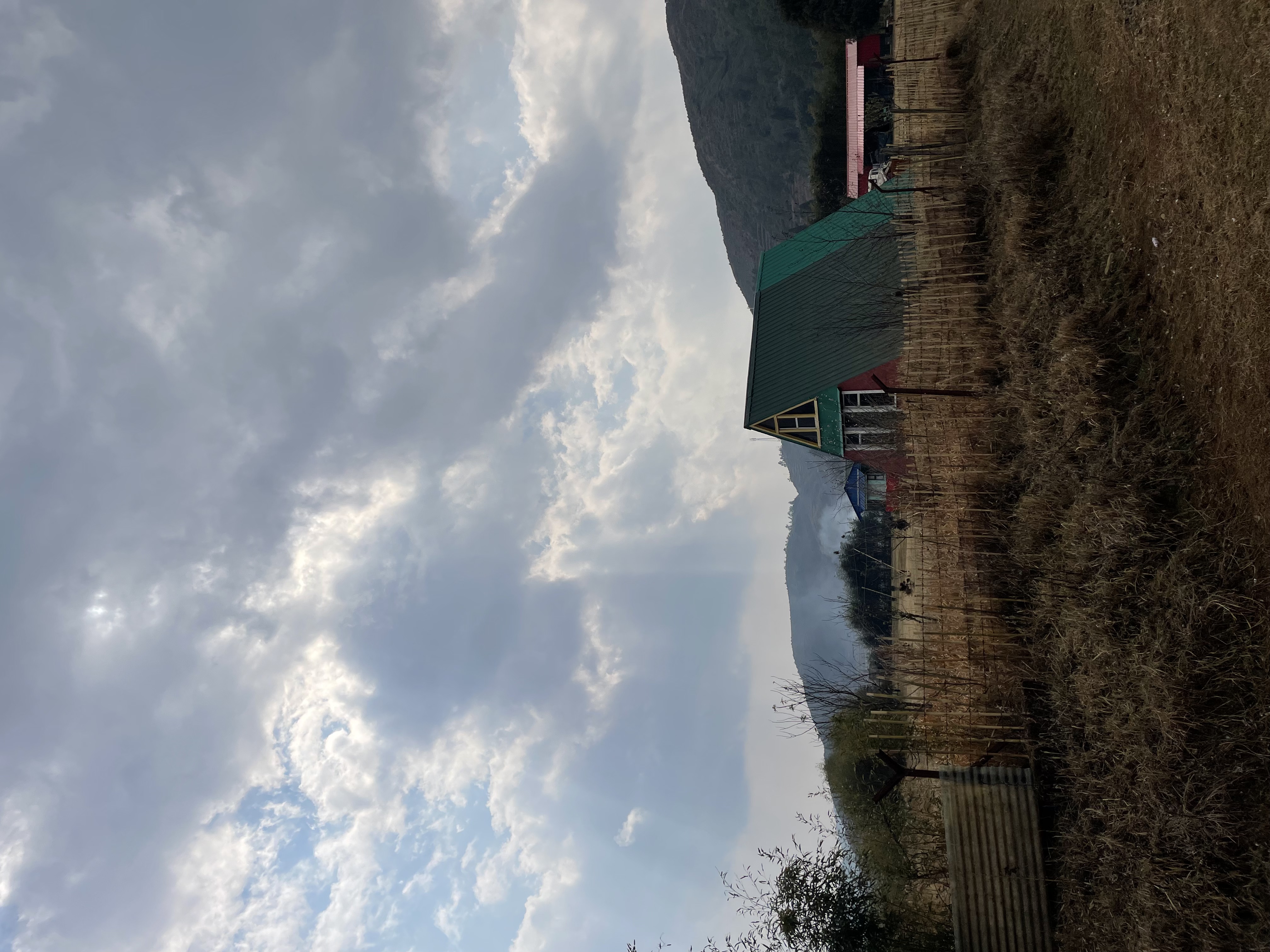Maple pine accomodation